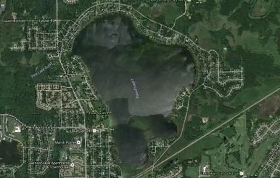 LAKE LANSING, Courtesy of Google Maps