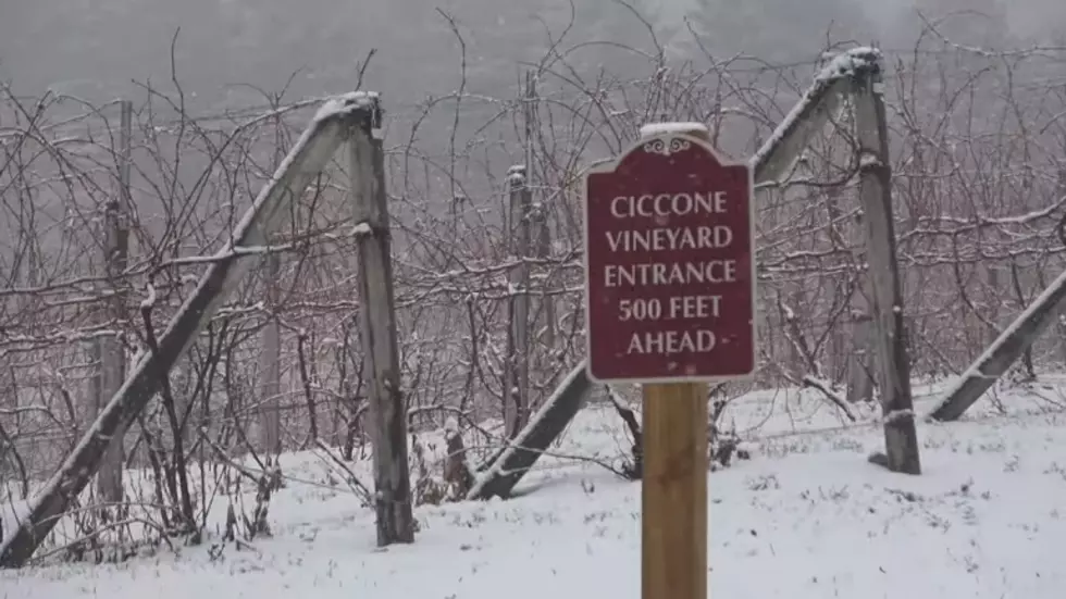 Take a Look at the Michigan Winery Owned by Madonna’s Father