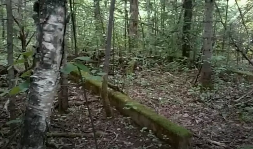 Abandoned CCC Camp: Upper Peninsula, Michigan