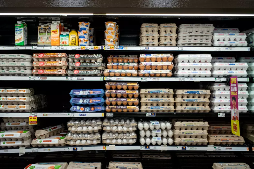 Comparing Michigan’s Grocery Chains: Where To Find Affordable Eggs