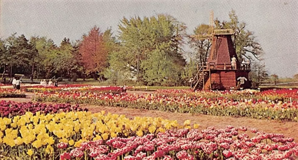 How and When ‘Tulip Time’ Was Created in Holland, Michigan