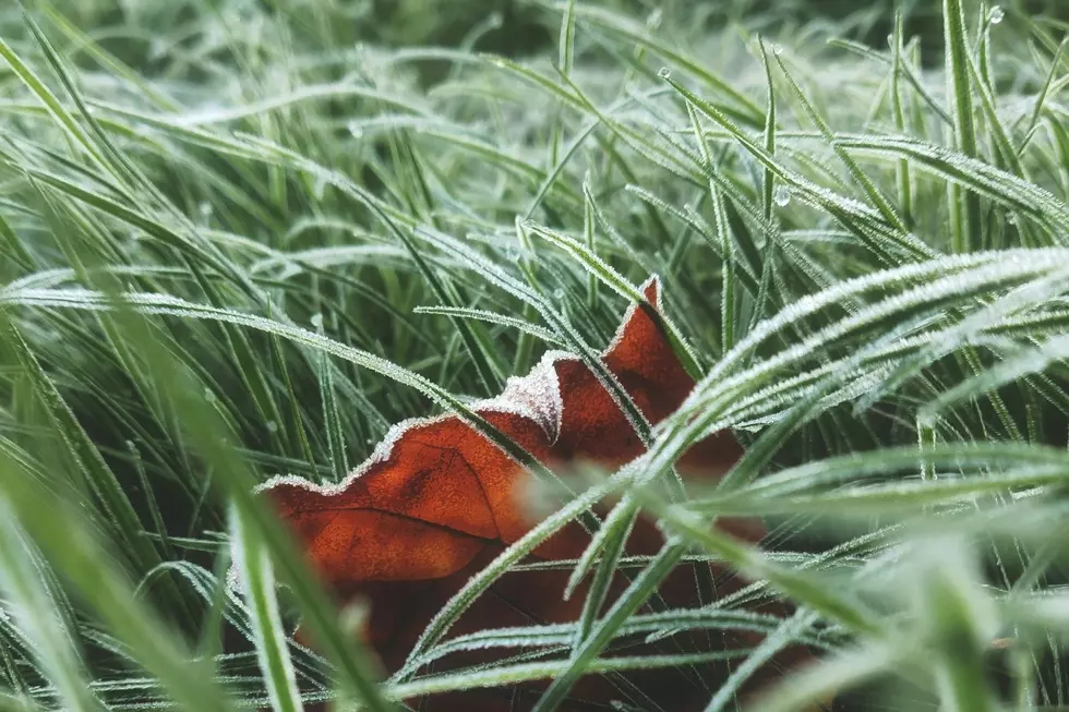 Michigan’s First Frost Predictions for 22 Cities in 2025