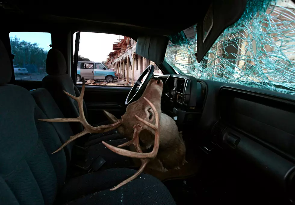 UPDATE New Data: Michigan Car – Deer Collisions By County